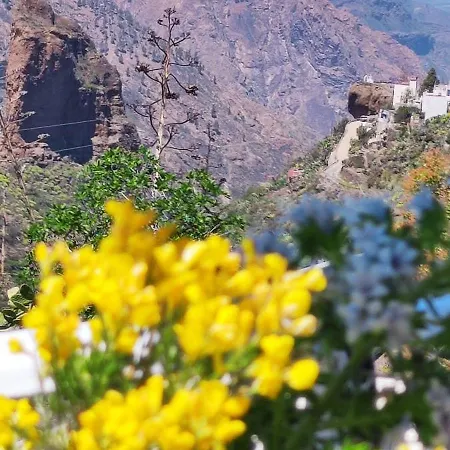 Casa Palmes * Tejeda (Gran Canaria)