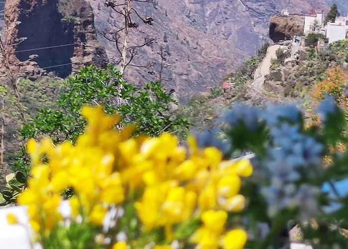 Casa Palmes * Tejeda (Gran Canaria)