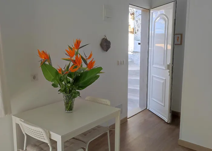 Apartament Casa Palmes *